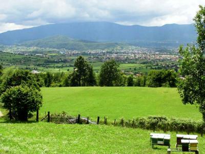 Zvukoterapija u pčelinjaku Bammbilend