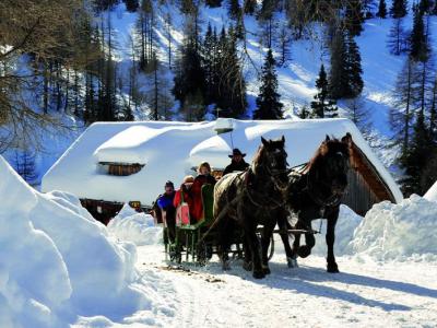 Carriage Rides Jukic