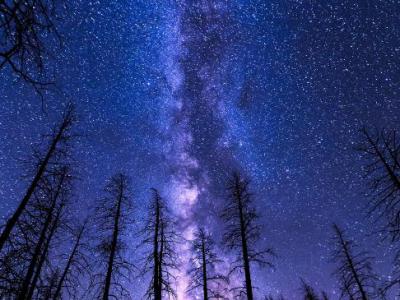 Astronomical Experience