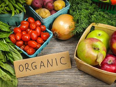 GWT2P Organic Food Experiences