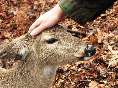 Sensory Experiences - Ranch Deer Valley