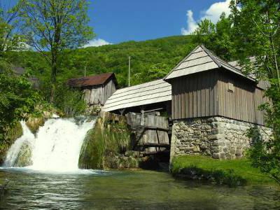 Spoljaric Sawmill