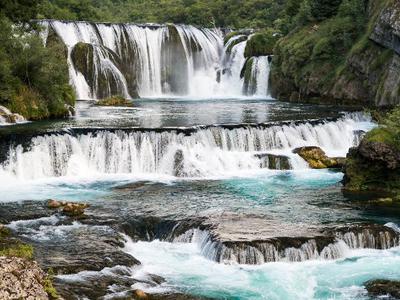 Natural Beauty - Powerful Strbacki buk