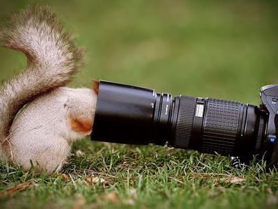 Responsible Photo Safari Tours