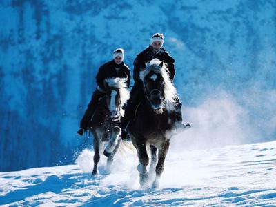 Horseback Riding Tours - Ranch Terra