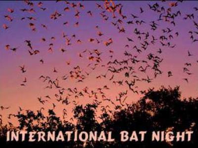 International Bat Night 2015