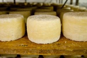 Tasty Cheese Tour Rakovica