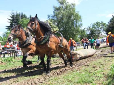 Štraprijada 2018