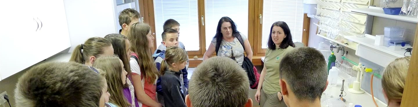 Activities with students at the Ivo Pevalek Centre