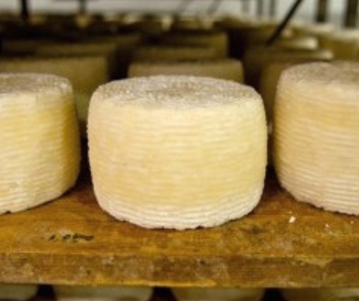 Tasty Cheese Tour Rakovica - healthy and homemade