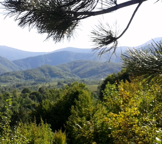 Panoramic Experiences from Sabina Greda, BA