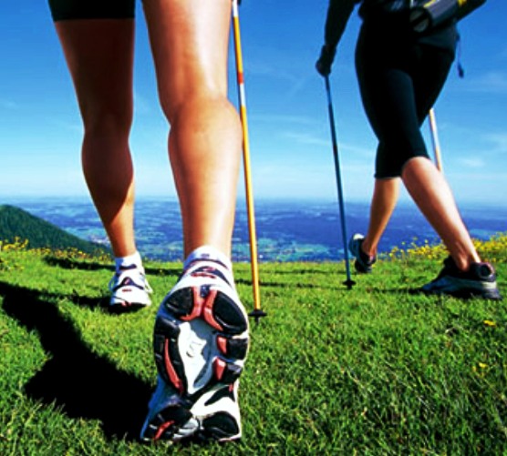 GWT2P Nordic Walking Options