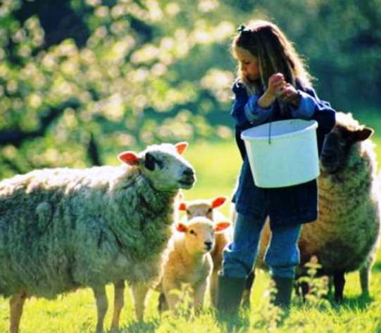 Ramljak Family Farm - locally grown and first class