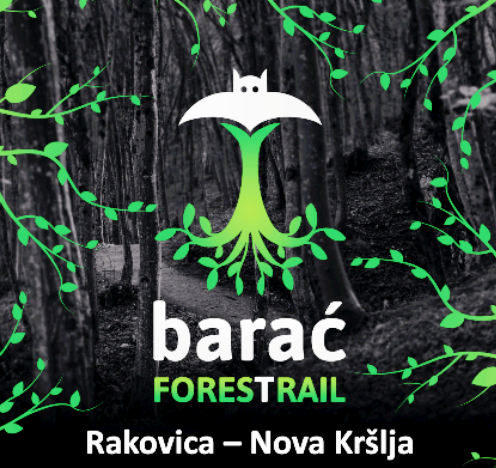 Duplicate of Barac Forest Trail 2024