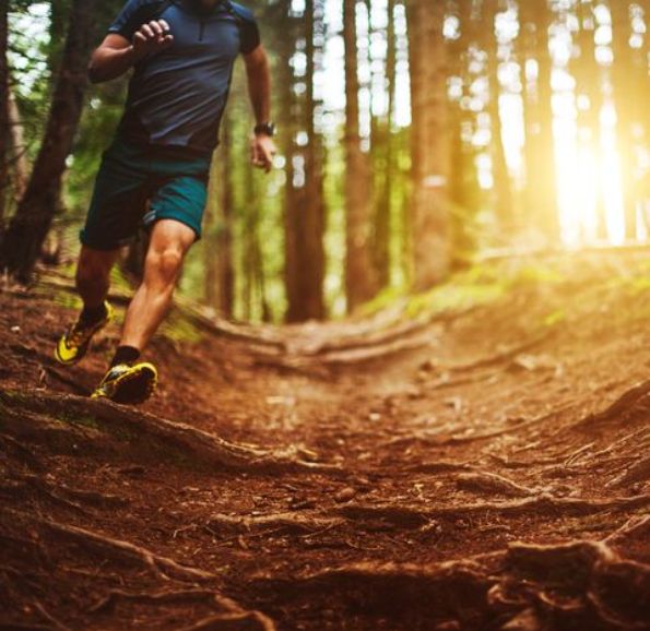 Borici - Bihac Cardio Trim Trail, BA
