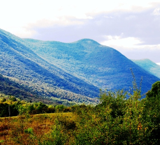 Pljesevica Mountain Home - invigorating roundabout