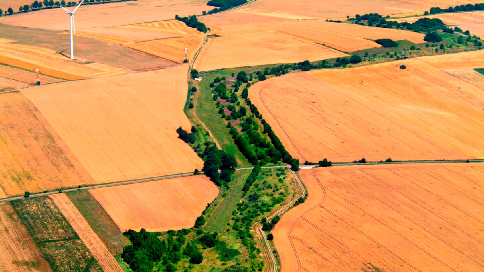 Example of a wildlife corridor!