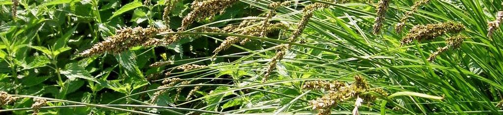 Diverse & valuable habitat!